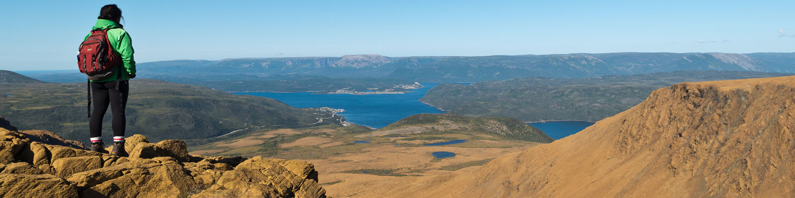 Overlooking Woody Point from Tableland Mountain
